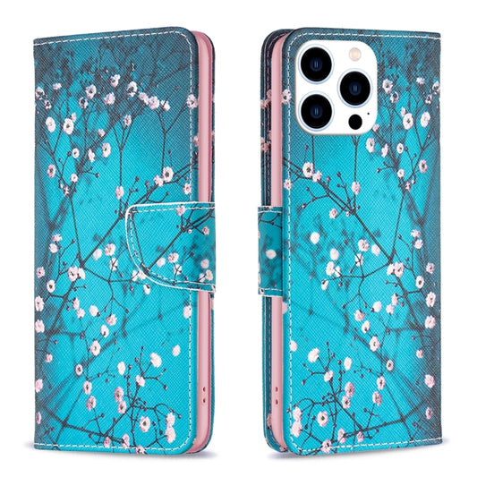 For iPhone 16 Pro Max Colored Drawing Pattern Leather Phone Case(Plum Blossom) - iPhone 16 Pro Max Cases by buy2fix | Online Shopping UK | buy2fix