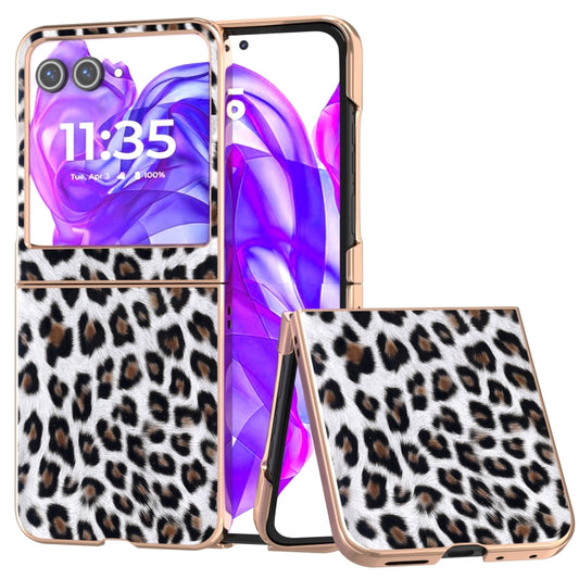 For Motorola Razr 50 Nano Plating Leopard Print Phone Case(Silver) - Motorola Cases by buy2fix | Online Shopping UK | buy2fix