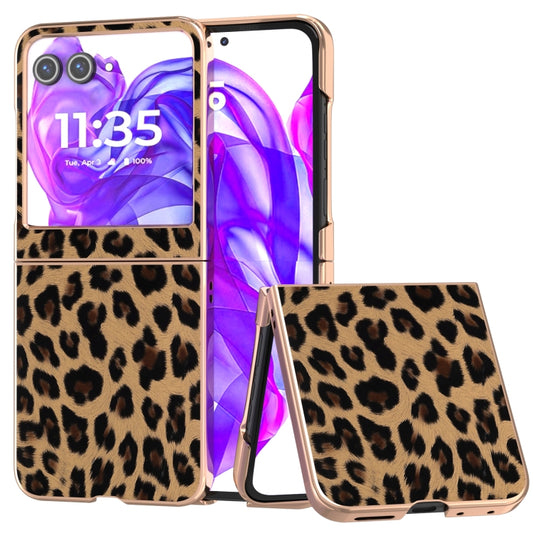 For Motorola Razr 50 Nano Plating Leopard Print Phone Case(Gold) - Motorola Cases by buy2fix | Online Shopping UK | buy2fix