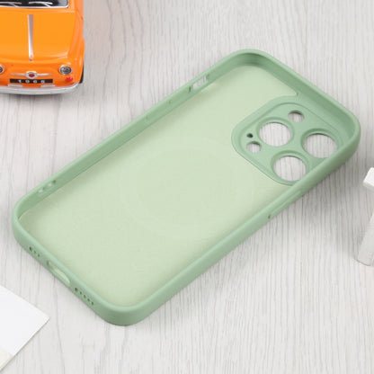 For iPhone 16 Pro Max Liquid Silicone Magsafe Phone Case(Green) - iPhone 16 Pro Max Cases by buy2fix | Online Shopping UK | buy2fix