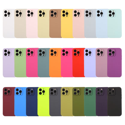 For iPhone 16 Pure Color Liquid Silicone Fine Pore Phone Case(Plum) - iPhone 16 Cases by buy2fix | Online Shopping UK | buy2fix