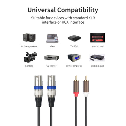 2 RCA Male to 2 XLR 3pin Male Audio Cable, Length:3m(Black Silver) - RCA Cable by buy2fix | Online Shopping UK | buy2fix