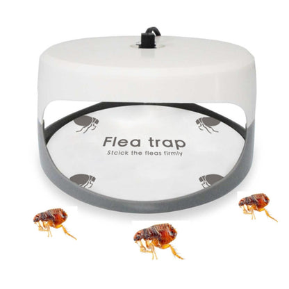 Flea Trap Pet Home Flea Lamp, Plug Type:EU Plug - Traps by buy2fix | Online Shopping UK | buy2fix