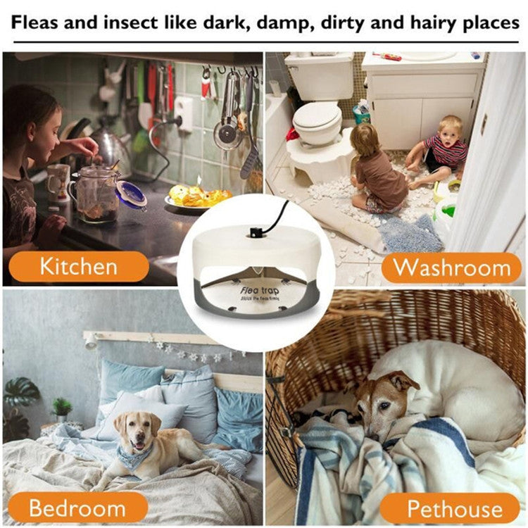 Flea Trap Pet Home Flea Lamp, Plug Type:EU Plug - Traps by buy2fix | Online Shopping UK | buy2fix
