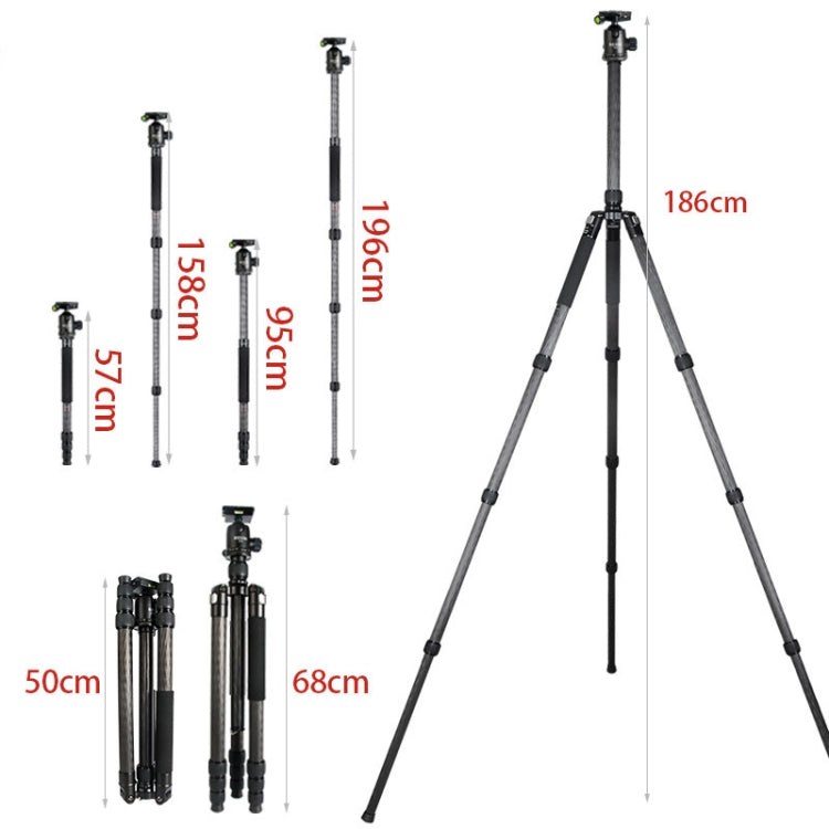 BEXIN W324C G44 Carbon Fiber Tripod Stable Shooting Camera for Video Point Dslr Camera - Tripods by BEXIN | Online Shopping UK | buy2fix