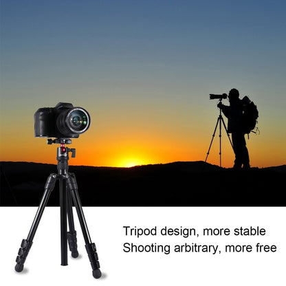 PULUZ 4-Section Folding Legs Metal  Tripod Mount with 360 Degree Ball Head for DSLR & Digital Camera, Adjustable Height: 42-130cm - Tripods by PULUZ | Online Shopping UK | buy2fix