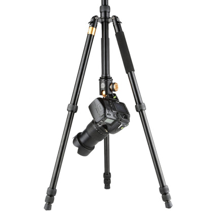 QingZhuangShiDai  Q999B Portable and Stable Photography SLR Digital Camera Tripod(Black) - Camera Accessories by QingZhuangShiDai | Online Shopping UK | buy2fix